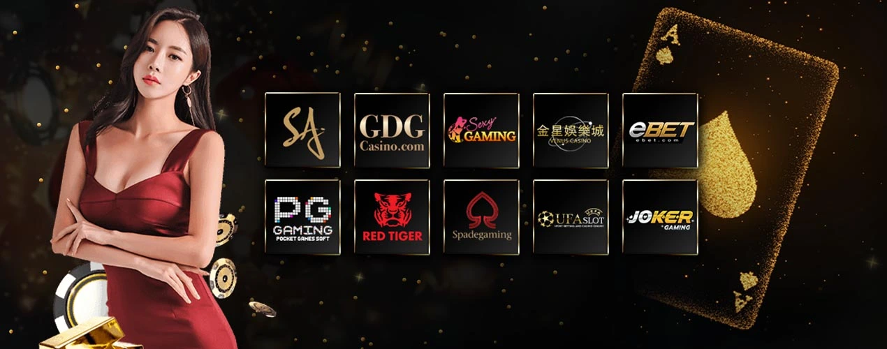 qmoney555