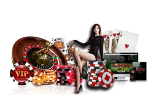 qmoney555